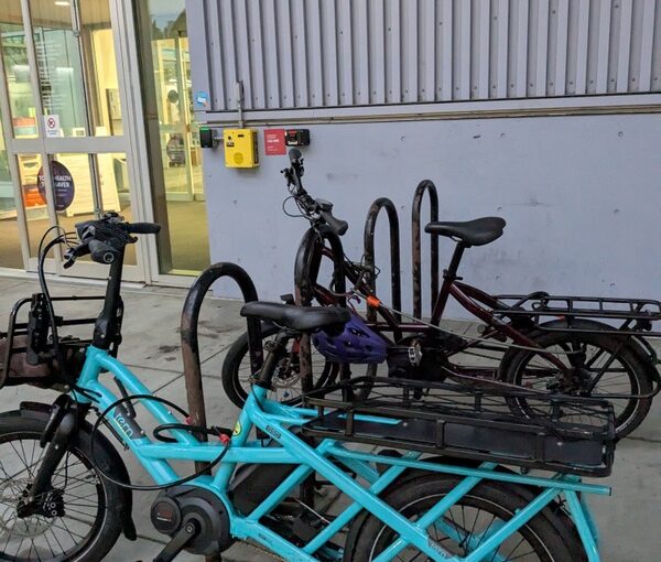 Two Terns at a Bike Rack